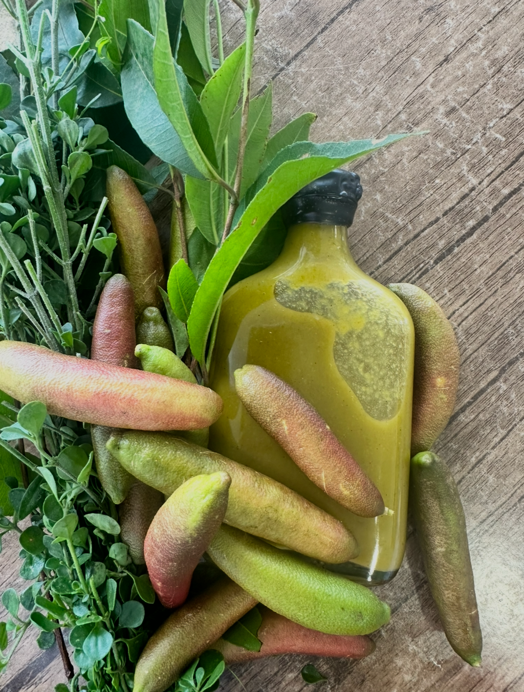 Demented Fermenter Backyard Jalapeno