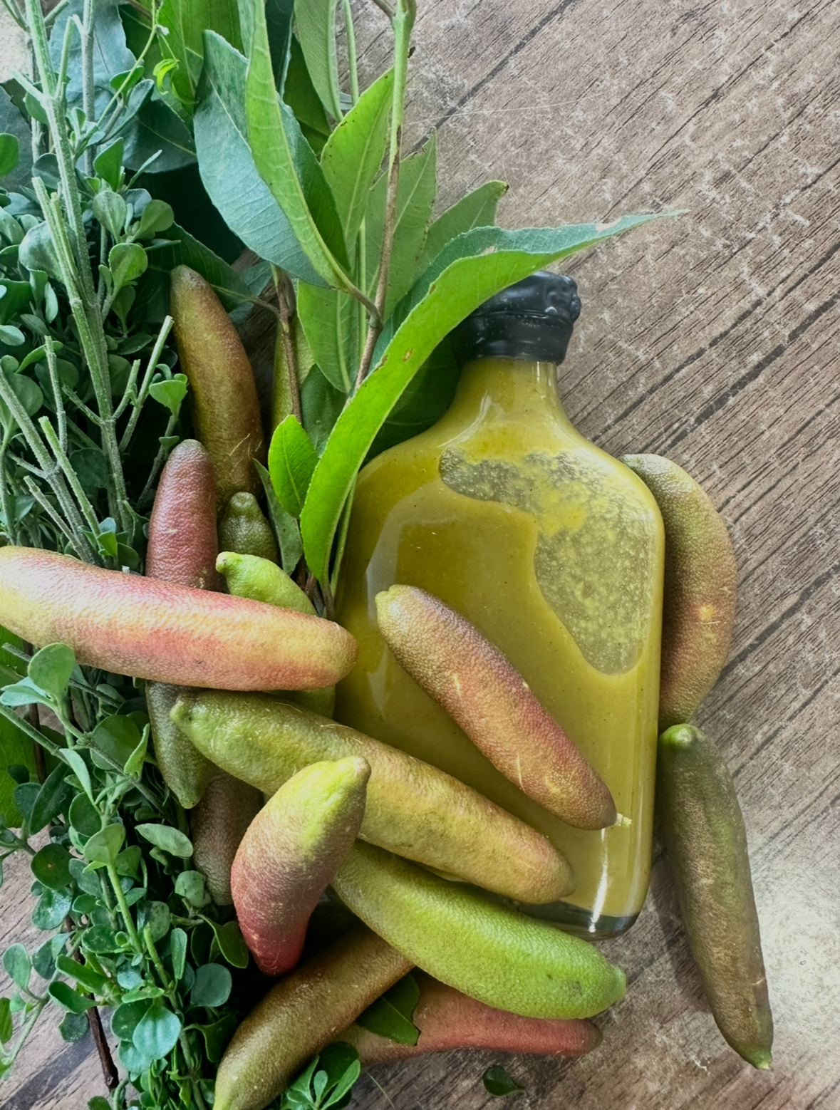 Demented Fermenter Backyard Jalapeno